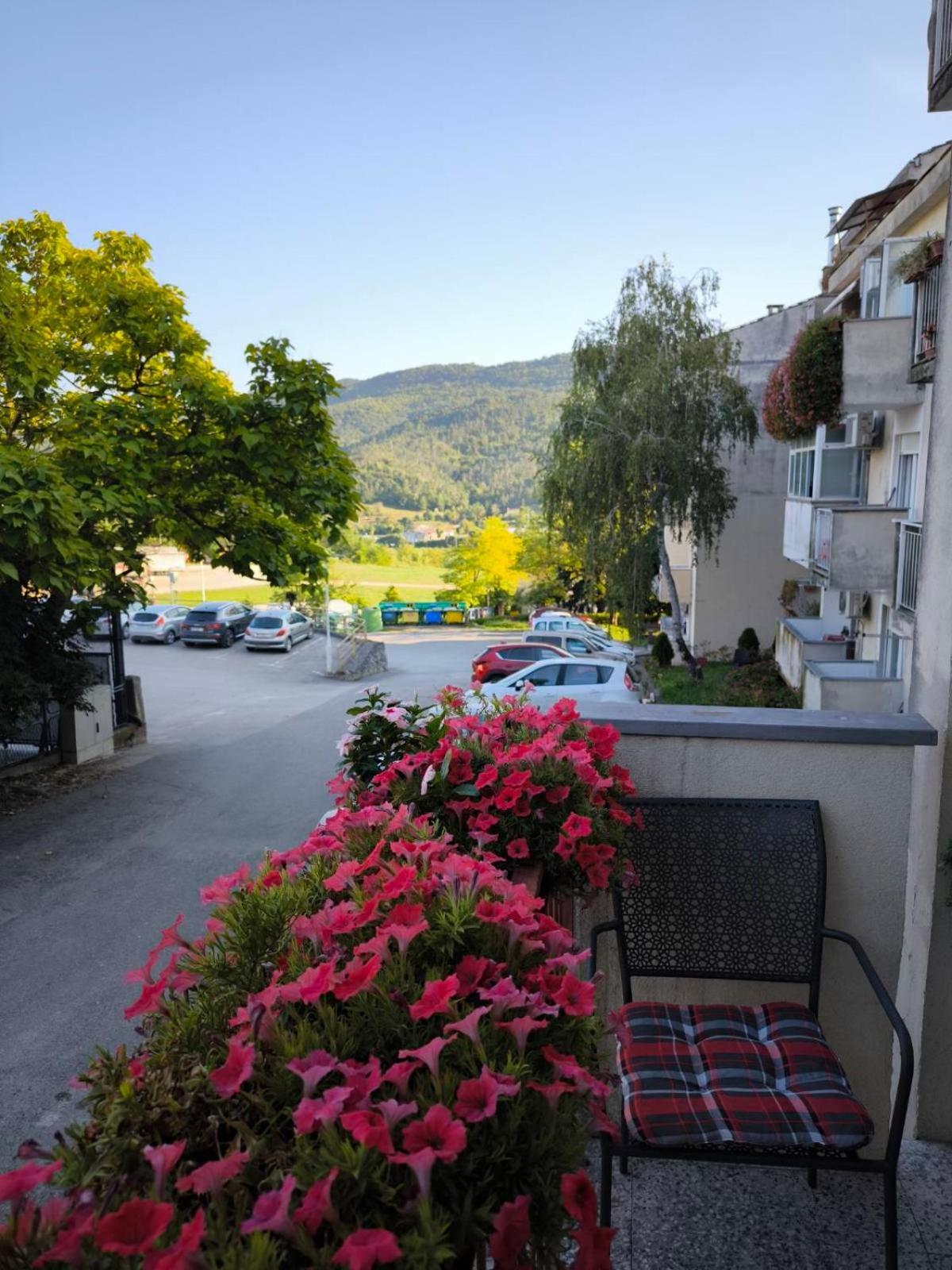 Apartman Snjeska Buzet Esterno foto